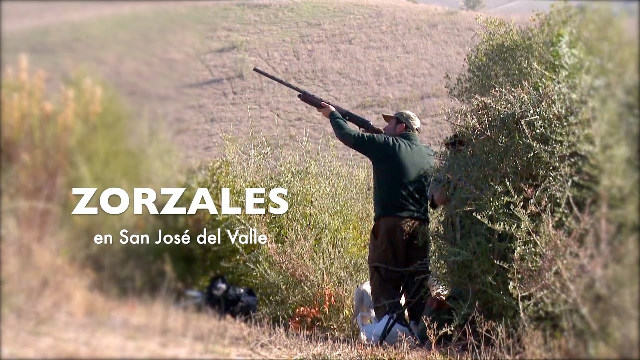 Zorzaleros en San Jose del Valle