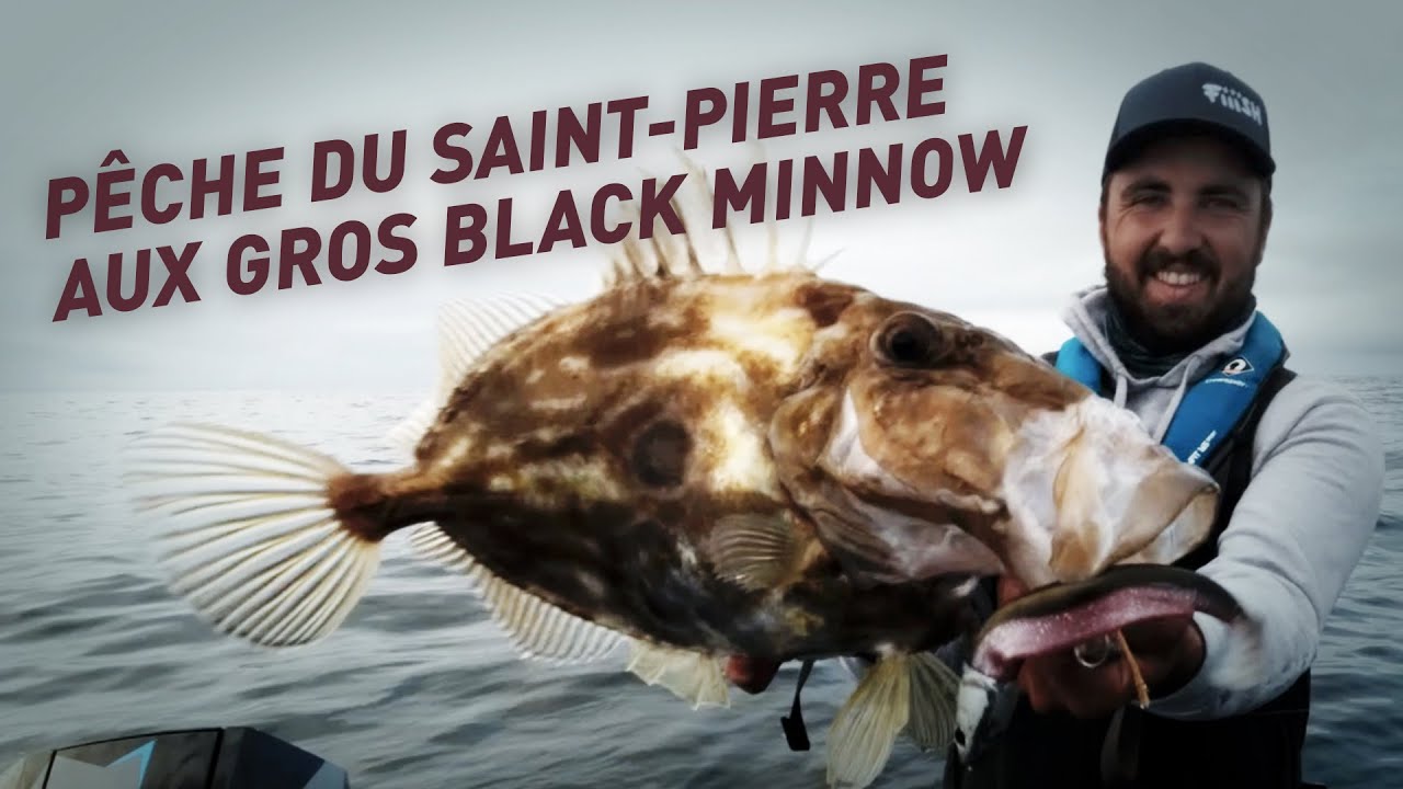 Fiiish-Pêche du St Pierre aux gros Black Minnow
