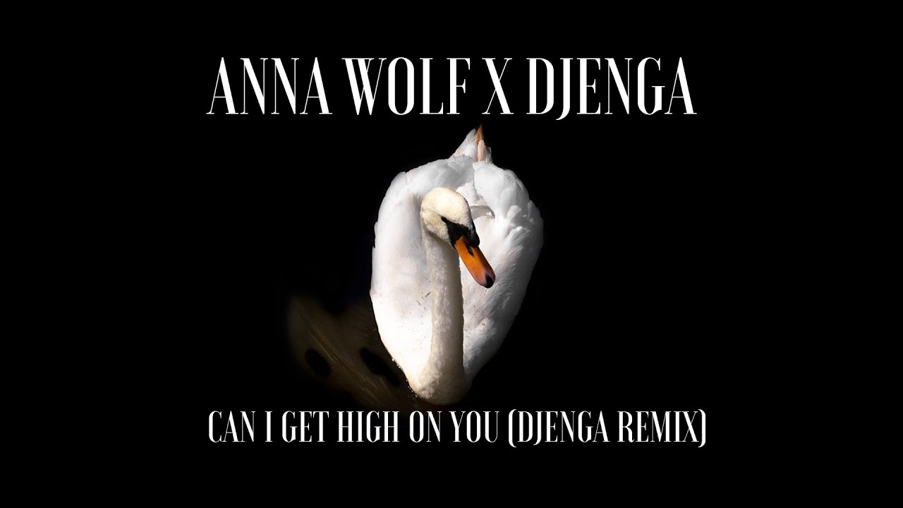 Anna Wolf x Djenga - Can I Get High On You [Djenga Remix] (Visualizer)