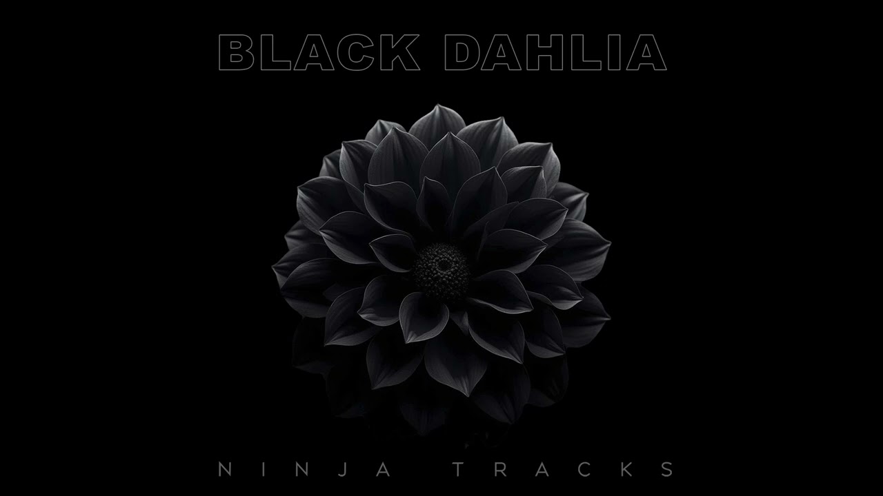 Ninja Tracks - Secret Conspiracy