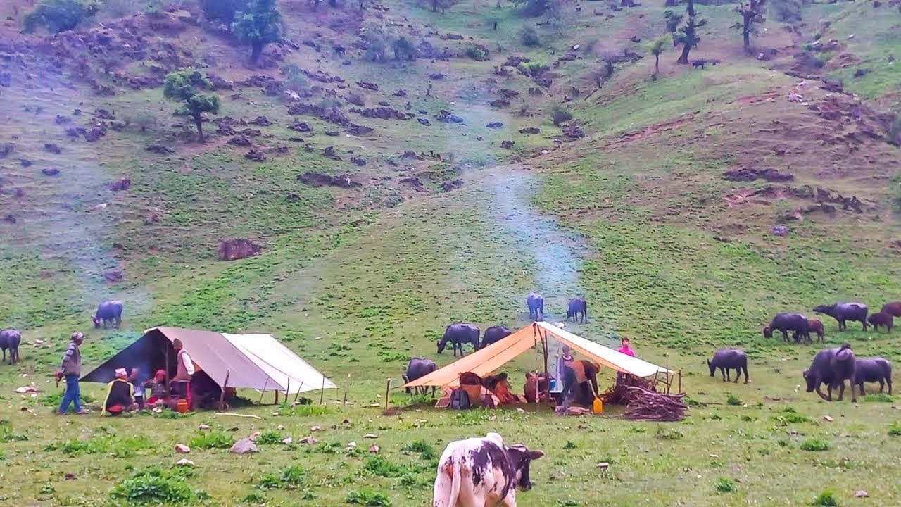 Most Peaceful And Relaxing Nepali Mountain Village Lifestyle | Organic Food Cooking | RealNepaliLife