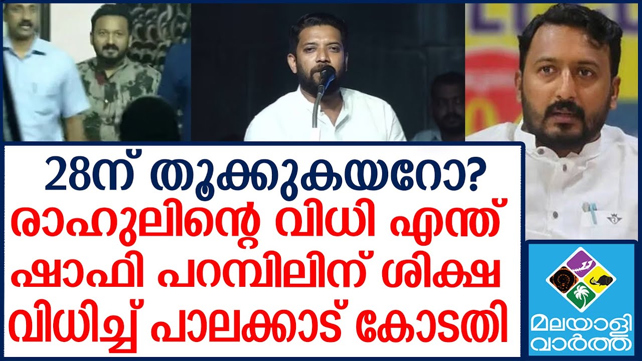 Rahul Mamkoottathil ഷാഫി പറമ്പിലിന് തടവും പിഴയും ശിക്ഷ വിധിച്ച് കോടതി