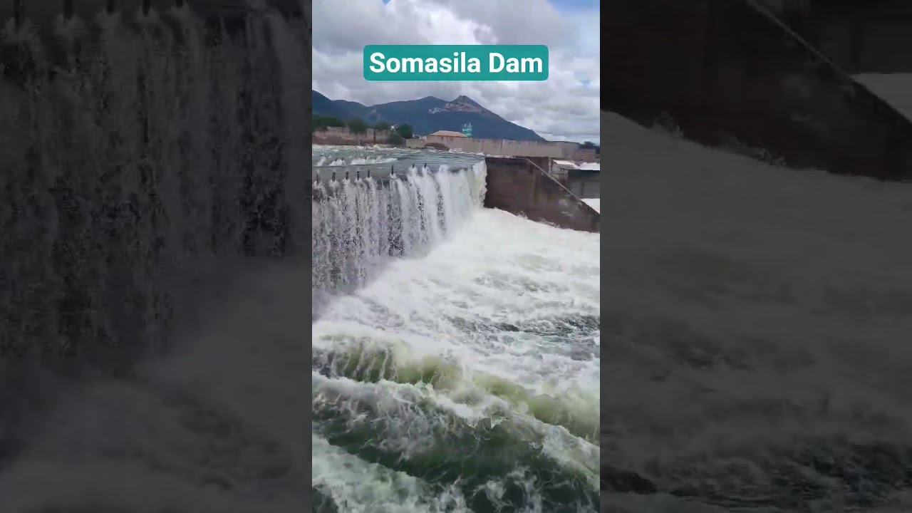 Somasila Dam #somasiladam #somasila #aptourism #trending #travel #viralvideo