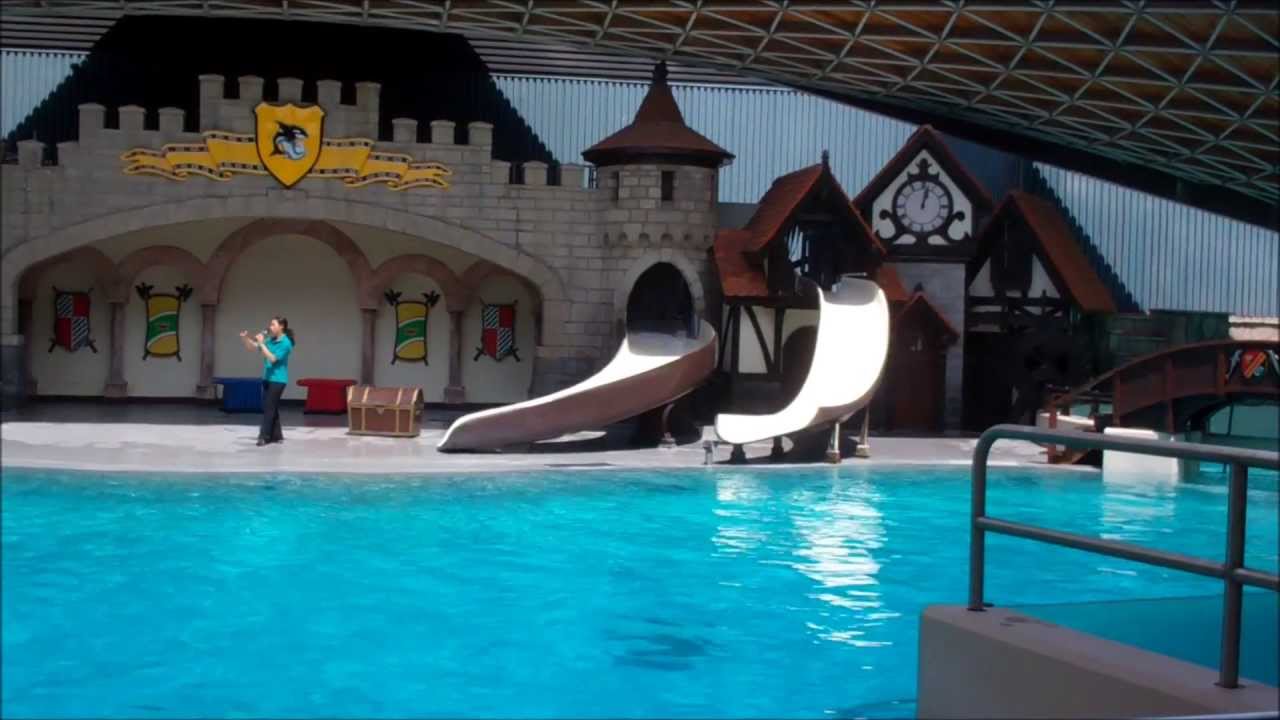 Marineland Dolphin Show