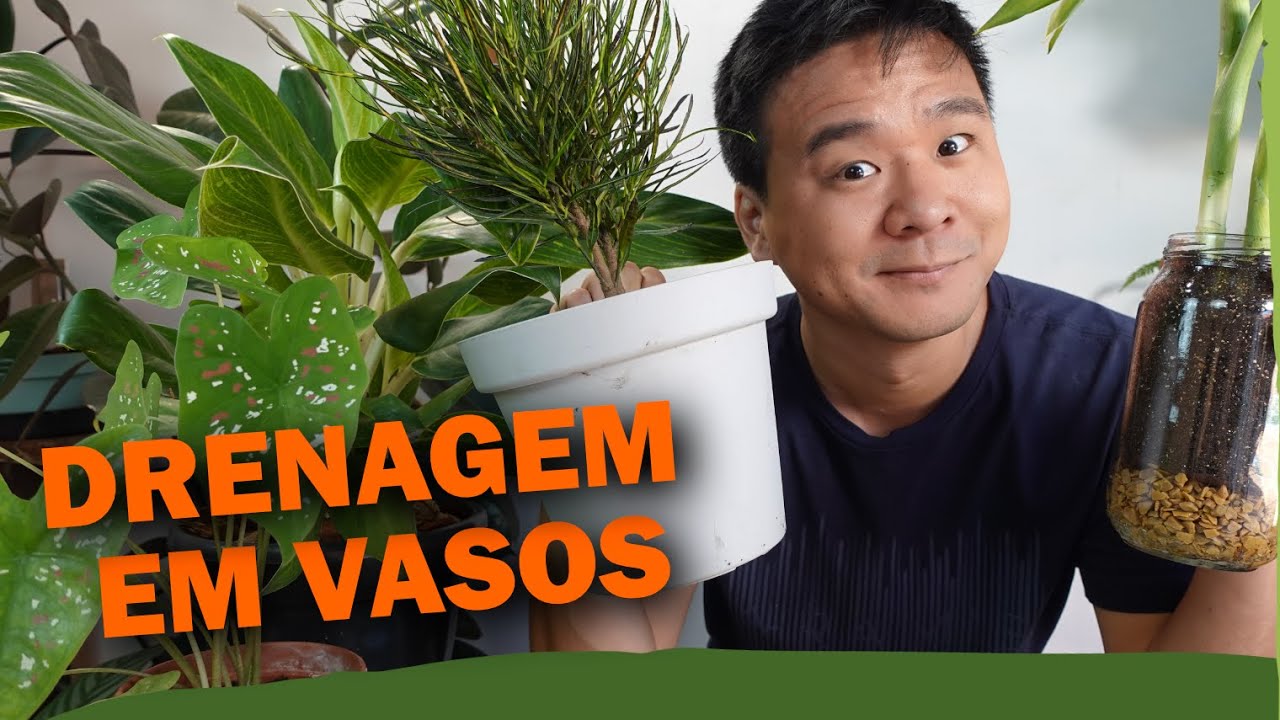 4 Segredos para a DRENAGEM em Vasos