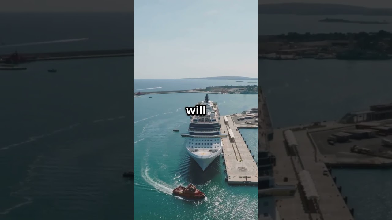 Why You Should ALWAYS Be Nice to Cruise Ship Security! 😂🚨 #history #marineservices #cruisevacation