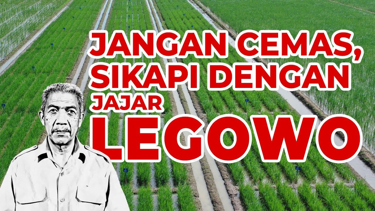 Dengan Jajar Legowo, Populasi Tanaman Padi Meningkat dan Masih Banyak Keunggulan lain