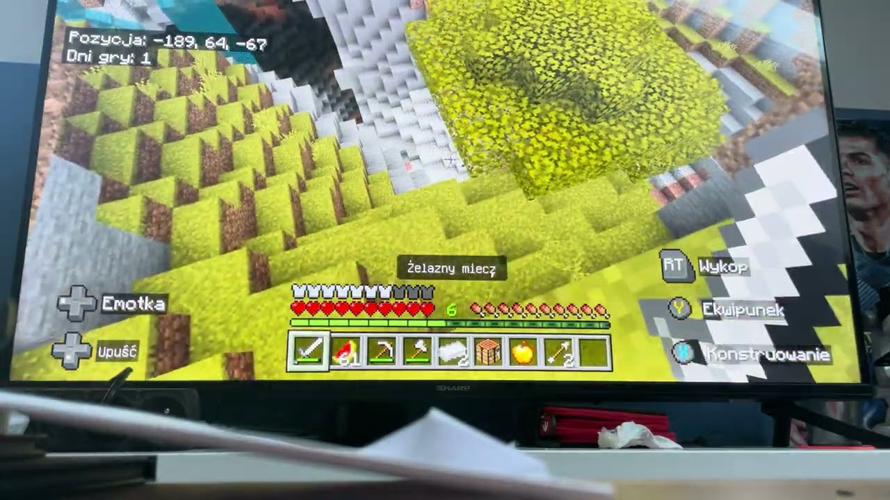 2 odcinek (seria minecraft) trochę ucięło 🤣