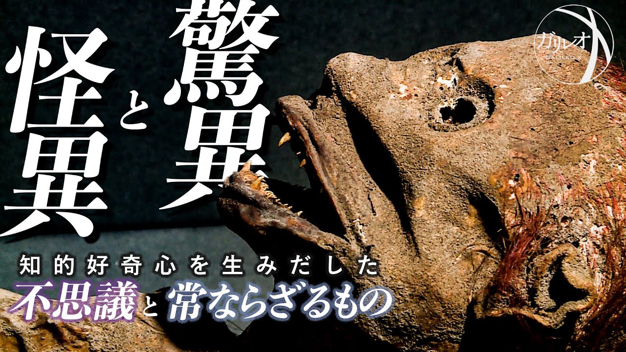 驚異と怪異 知的好奇心を生みだした不思議と常ならざるもの | ガリレオX 第206回