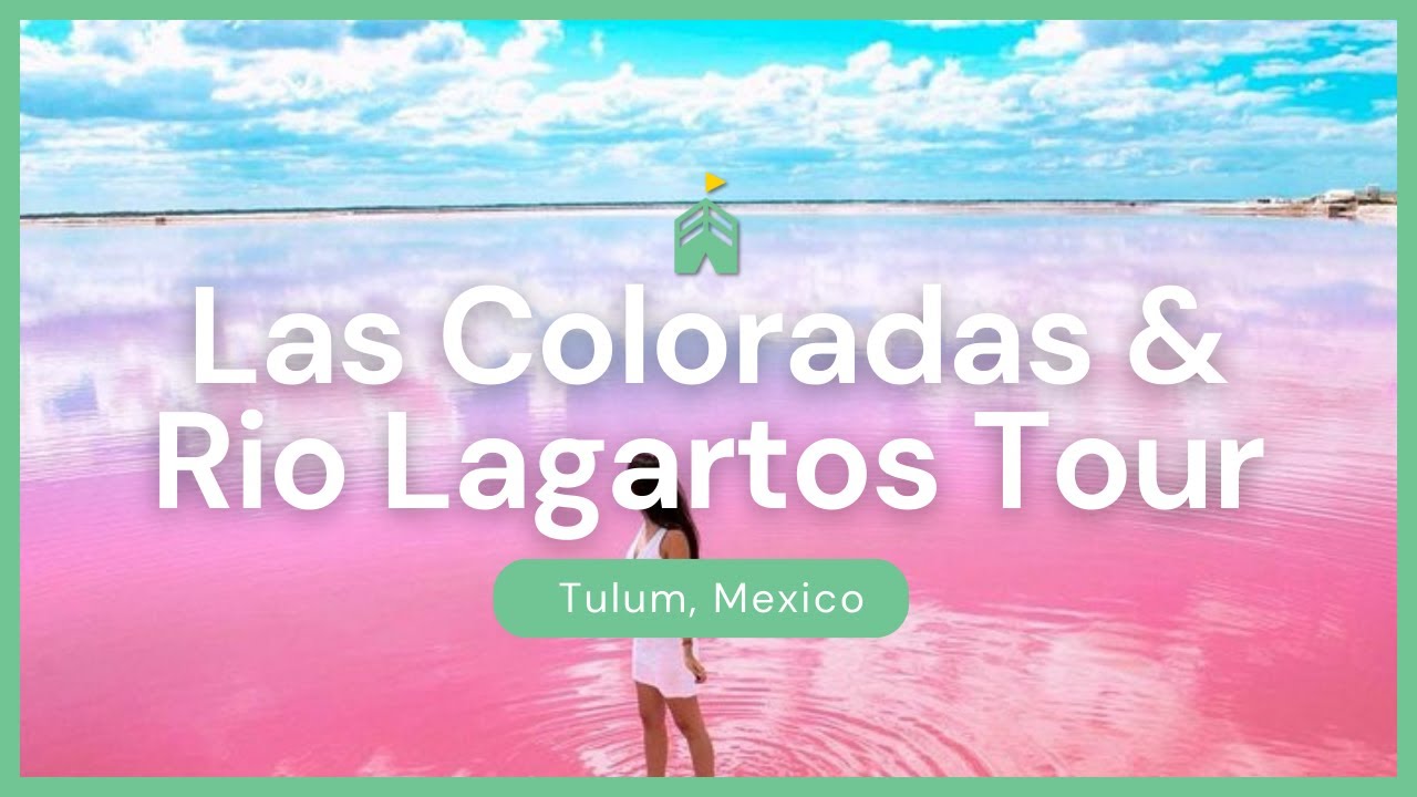 Visit Las Coloradas & Rio Lagartos - Pink Lakes of the Yucatan