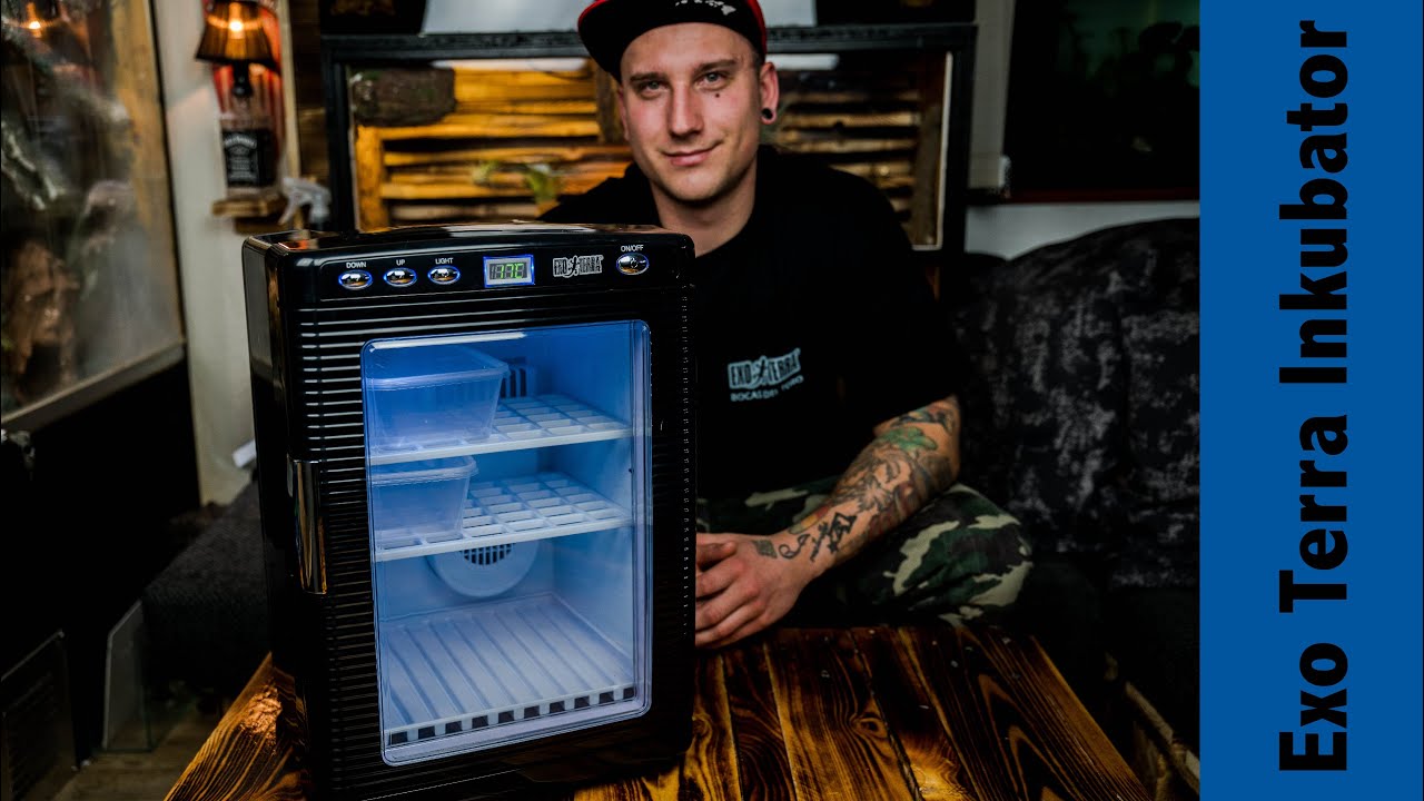 Exo Terra Inkubator Wärme/Kühlen Termoelektrischer Inkubator Reptilien