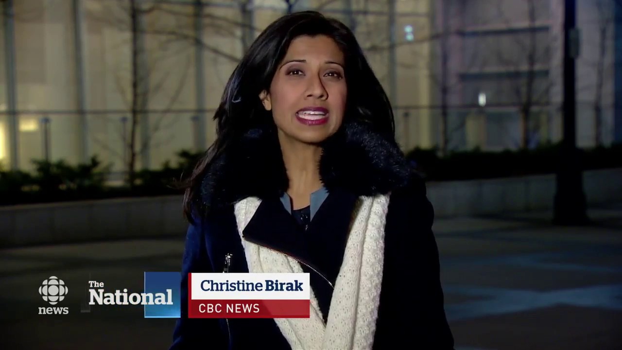 CBC The National Video (2017- 01-26) -  Chimera Created
