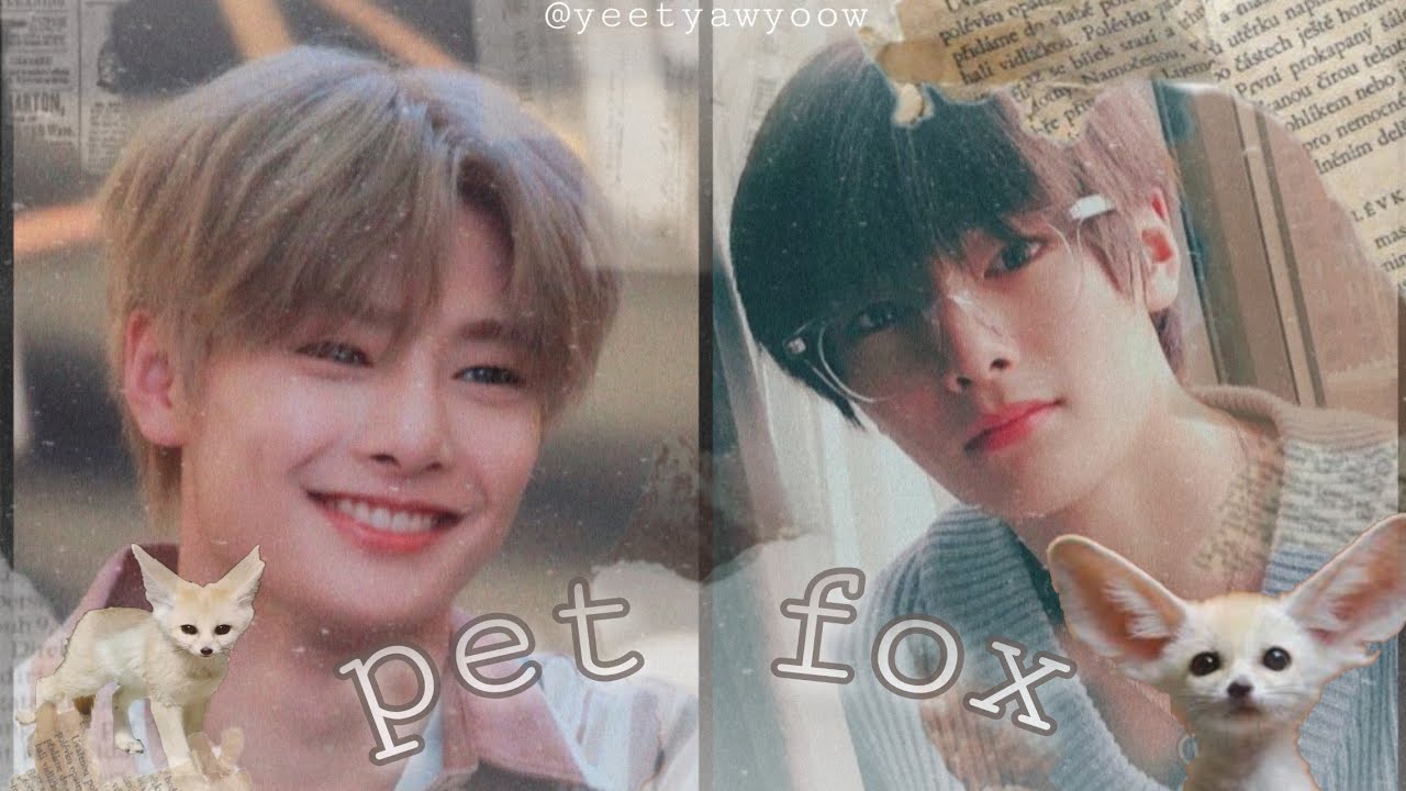 Jeongin - 'Pet Fox' [Oneshot/FF] Straykids