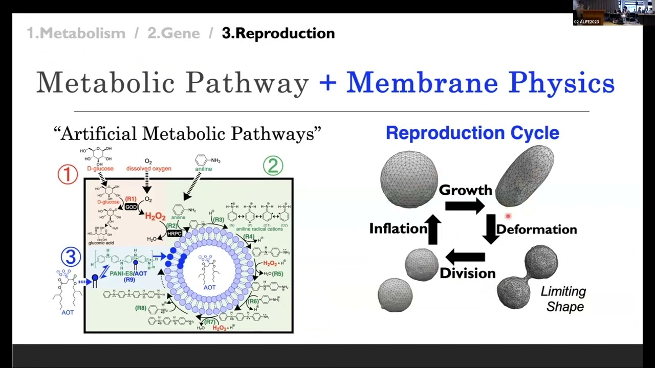 ALIFE2023: Synthetic minimal cell with artificial metabolic pathways