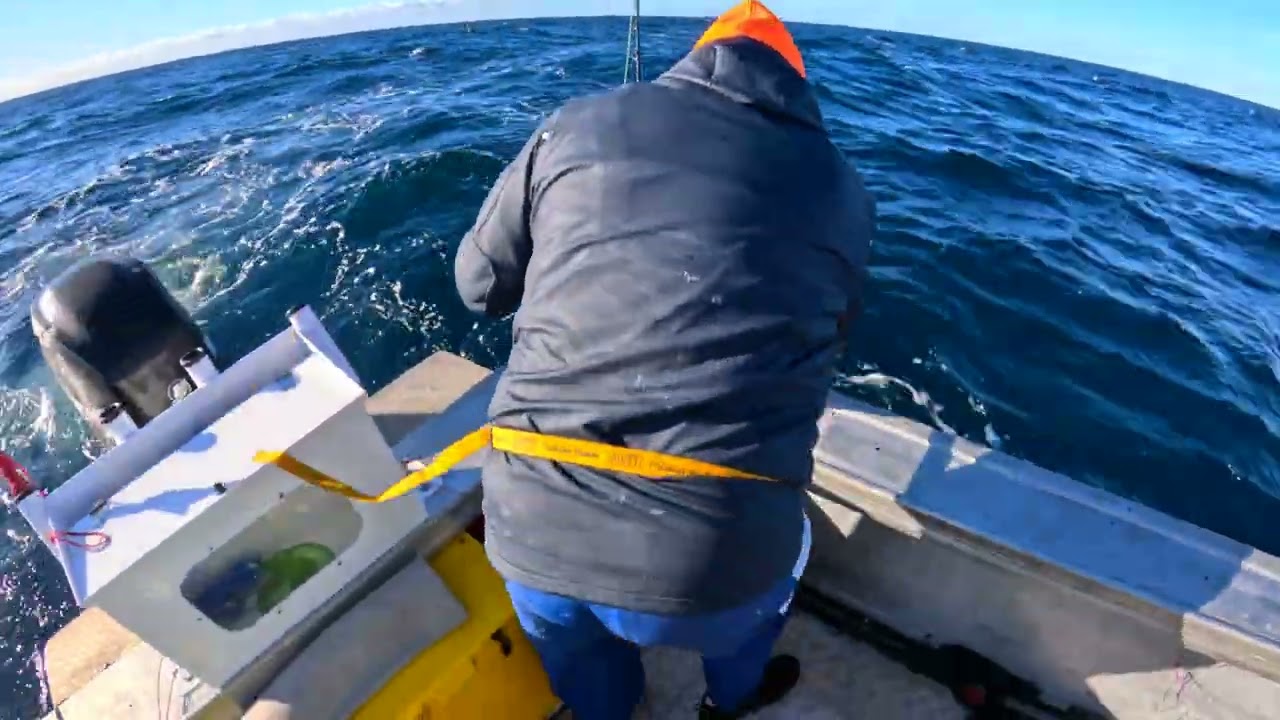 Sydney Yellowfin Tuna