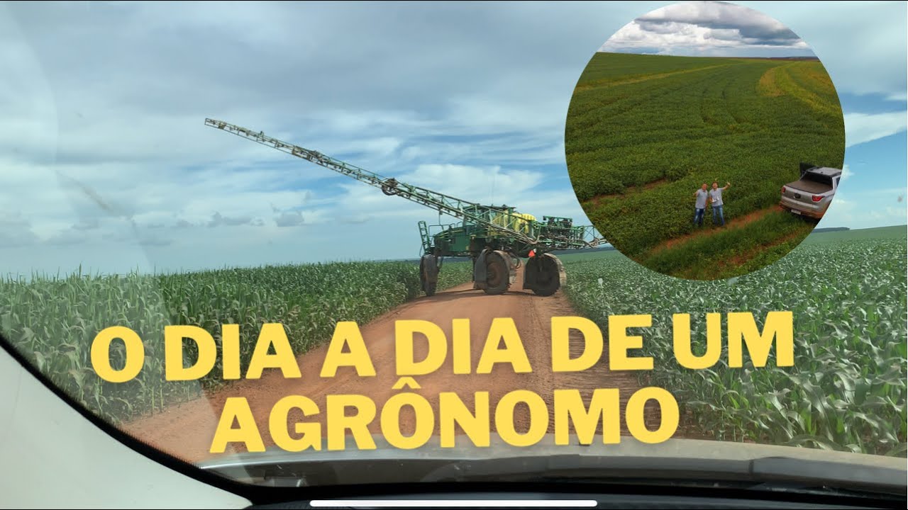O dia a dia de um agrônomo! Um pouco da minha profissão...