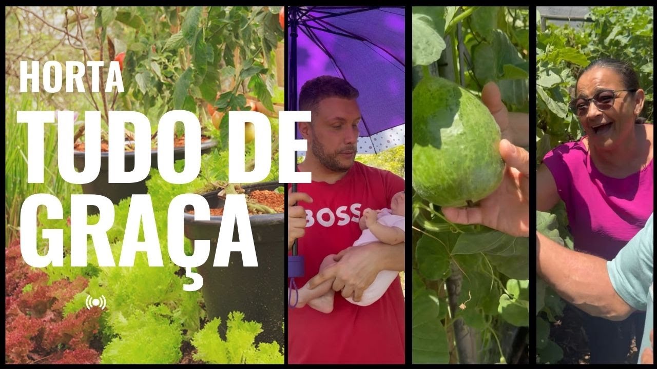 A Horta em que se pode pegar tudo de graça ❤️