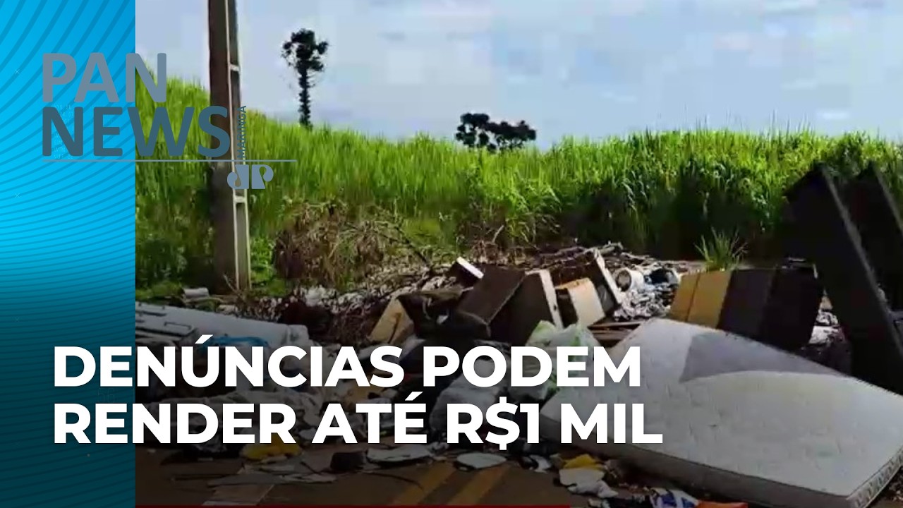 Denúncias de crimes podem render até R$1 mil; valores vão ser pagos pela prefeitura de Maringá