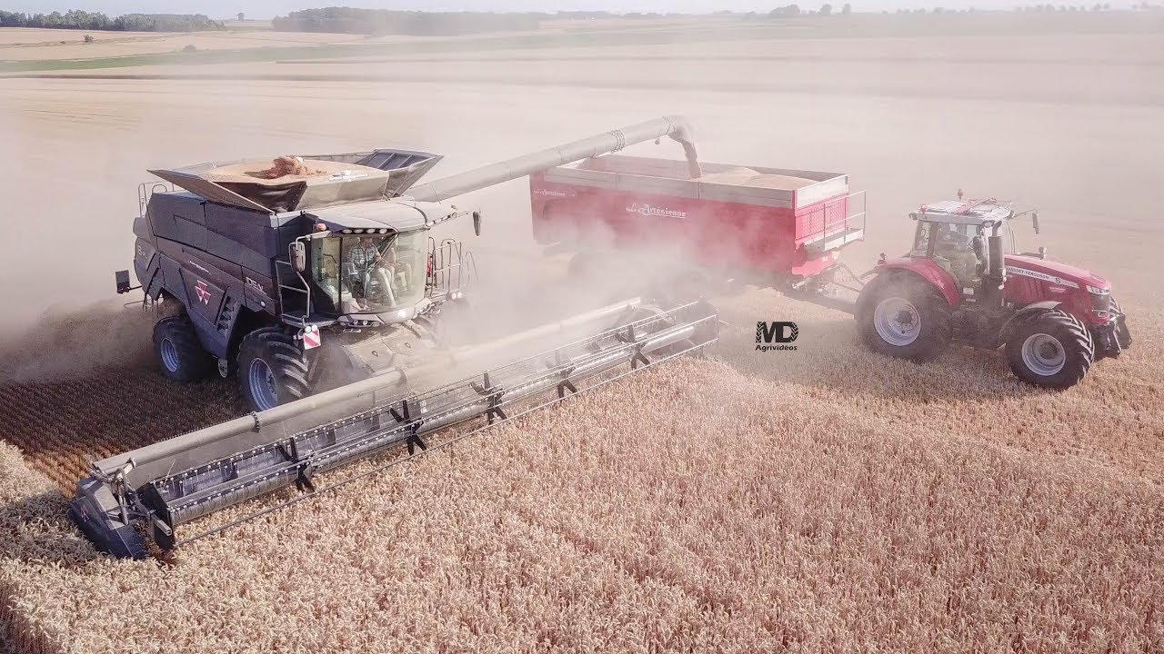 Massey Ferguson Ideal 8PL & MF 7726 S | Blé 2019
