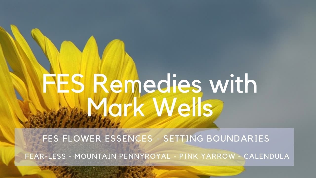FES Flower Essences - Establishing Healthy Boundaries