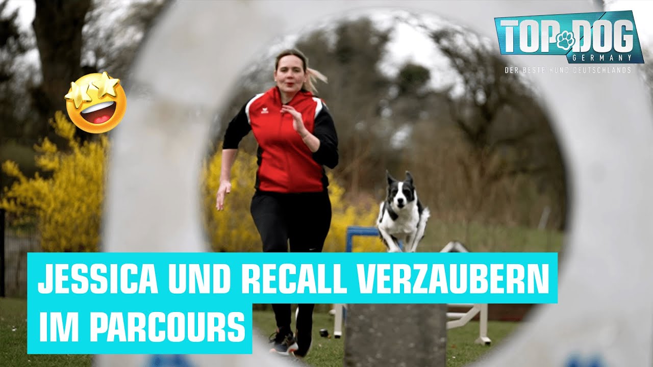 Bei Jessica und Recall wird es magisch ✨| Top Dog Germany 2022