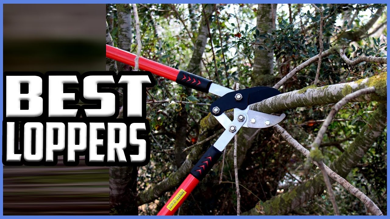 Top 5 Best Loppers in 2022 reviews✅ Buying guide
