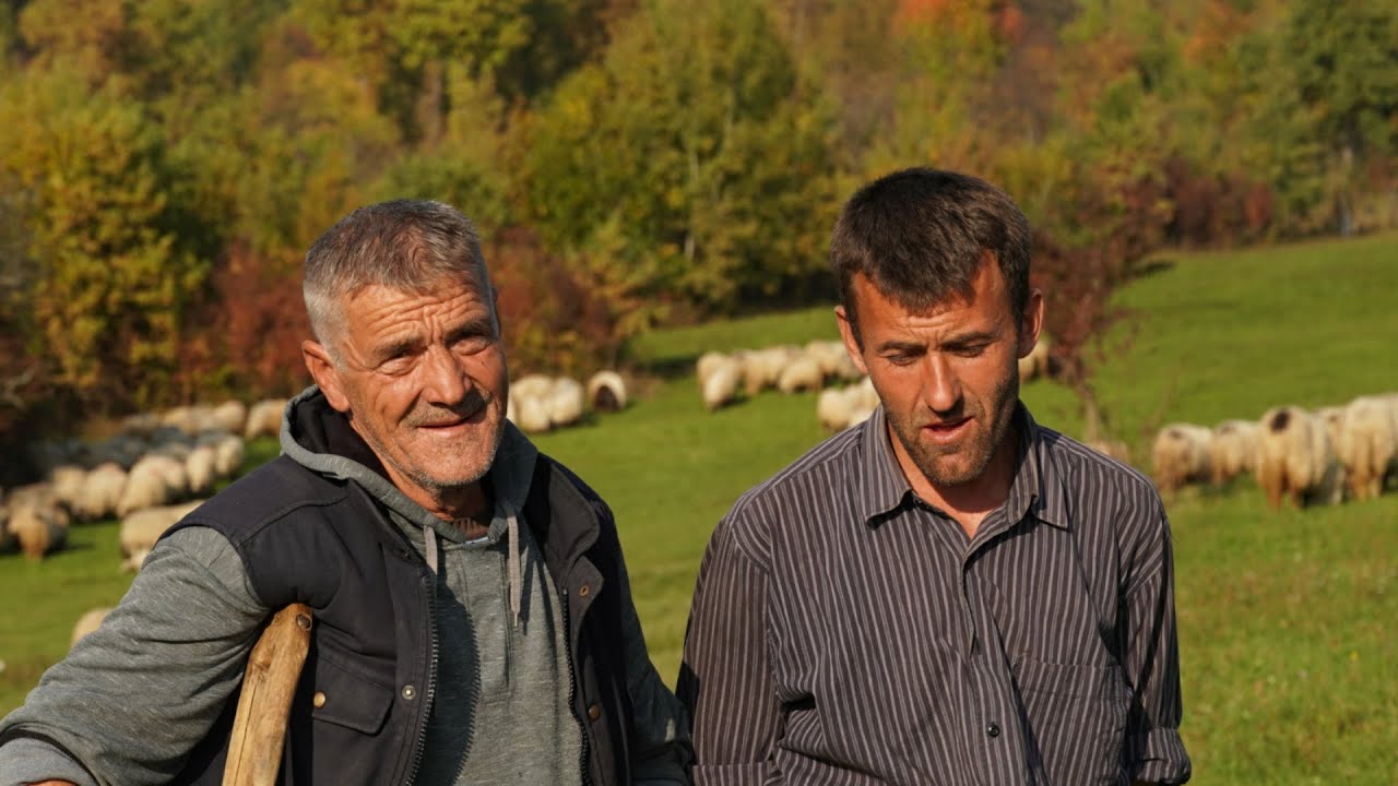 VEĆ  42  GODINE  IDEM  NA  ZIMINU  S' OVCAMA