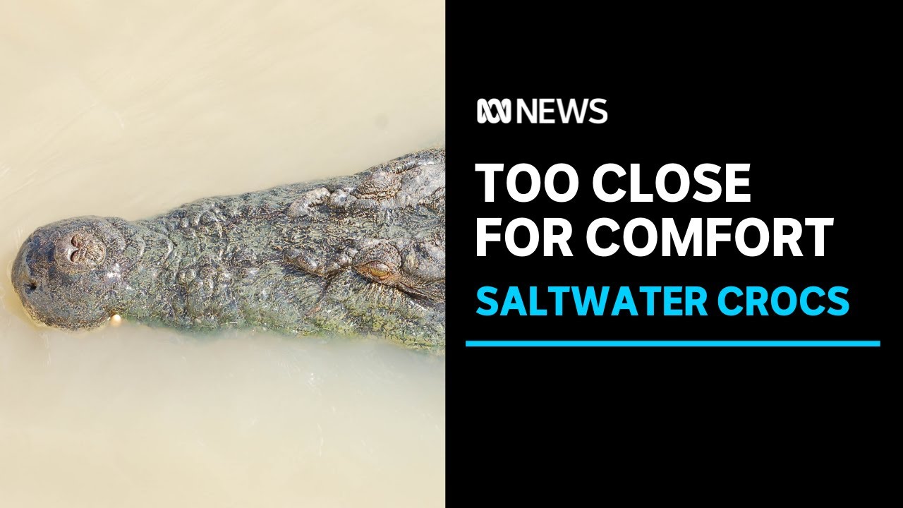 Why are 'salties' nesting closer to Darwin? | Part 1 Saltwater Crocodiles | ABC News