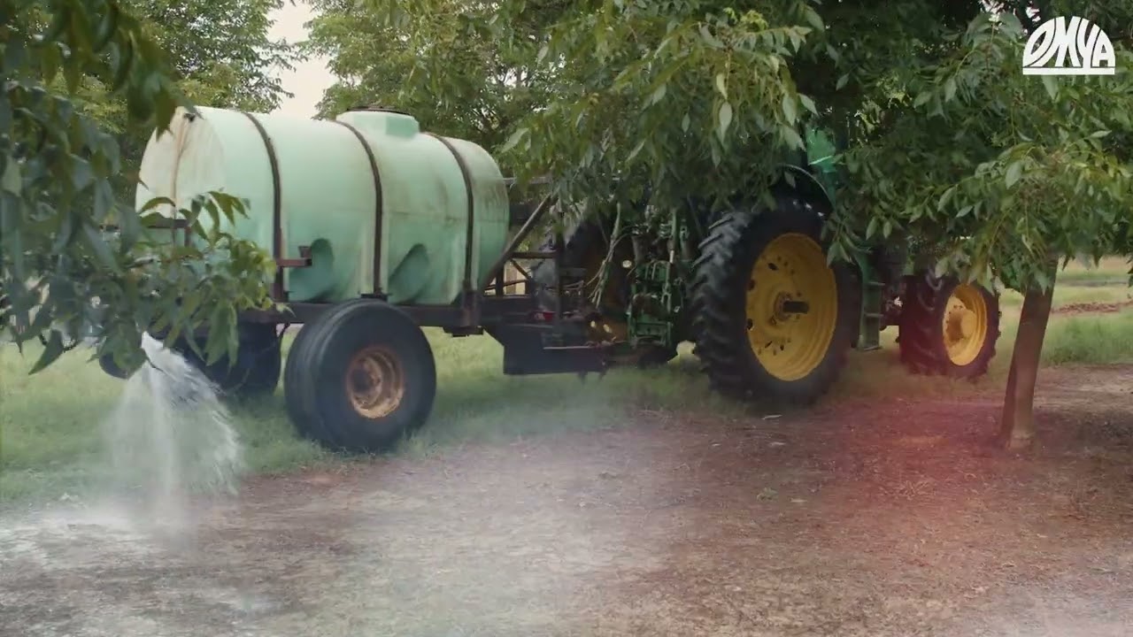 Maximize Pecan Yields with Omya Top Flow