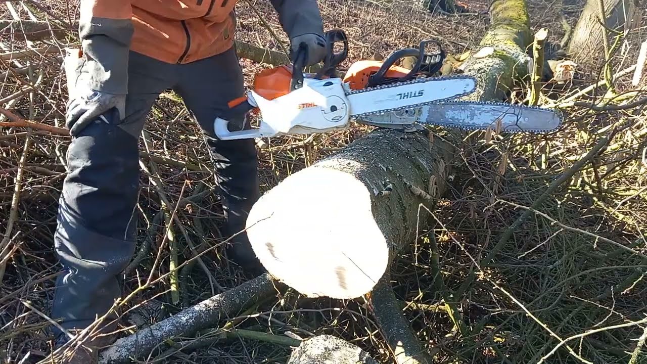 Aku pila zničila benzínovou? 😱 Velký souboj řetězových pil # Stihl MSA 220 C vs MS 291 #