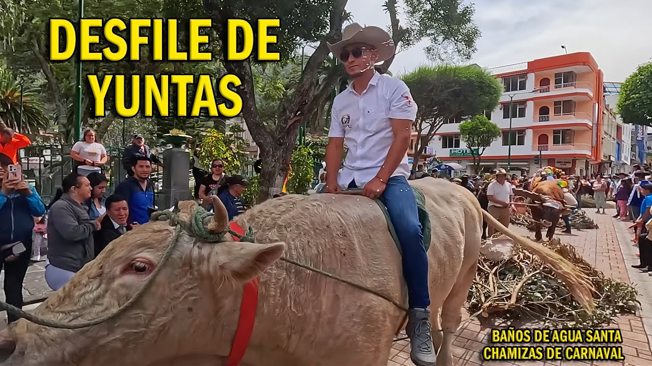 La GRAN entrada de YUNTAS y Chamizas en Baños de Agua Santa. Fiestas de Carnaval.