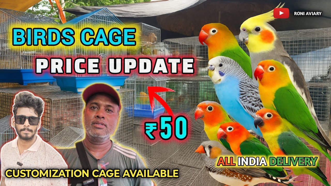 BIRDS CAGE PRICE UPDATE.SHRIRAMPUR PET MARKET.মাত্র ₹50 টাকা থেকে শুরু.CUSTOMISE CAGE #cheapestprice