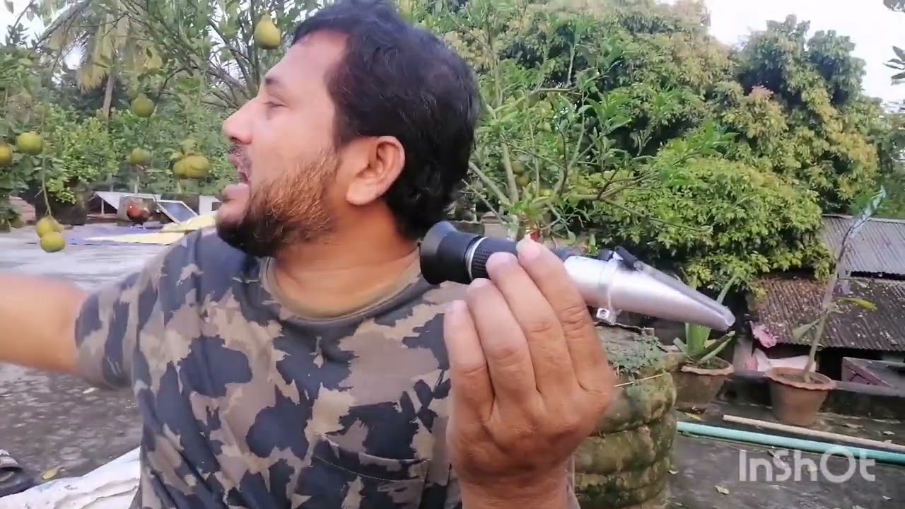 থাই ২ কমলা