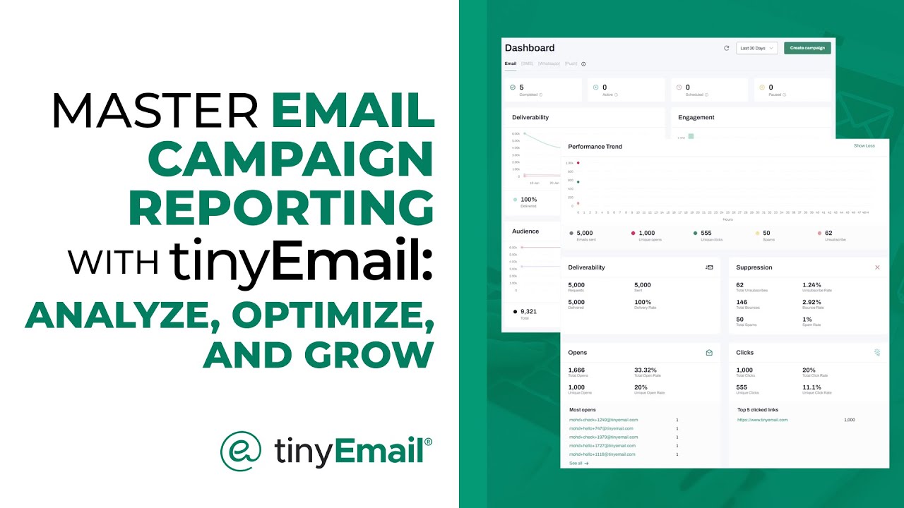 Master Email Campaign Reporting with tinyEmail: Analyze, Optimize, and Grow