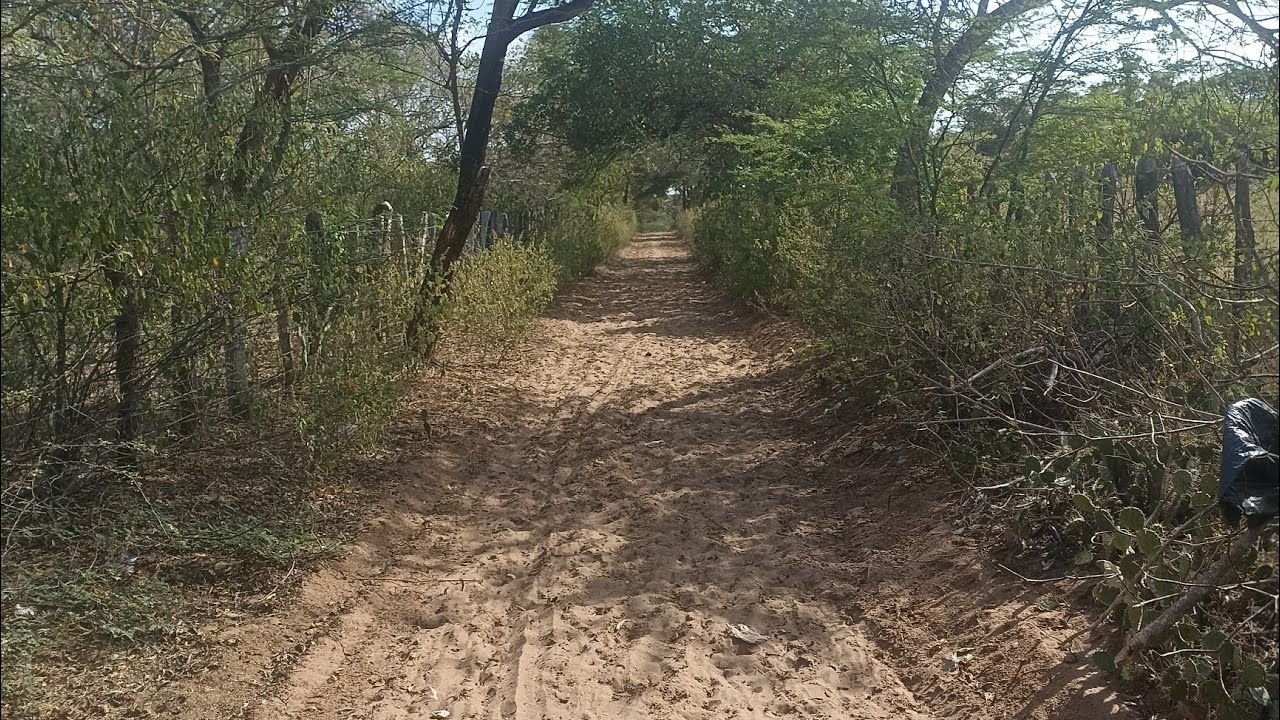 Esplorando monte