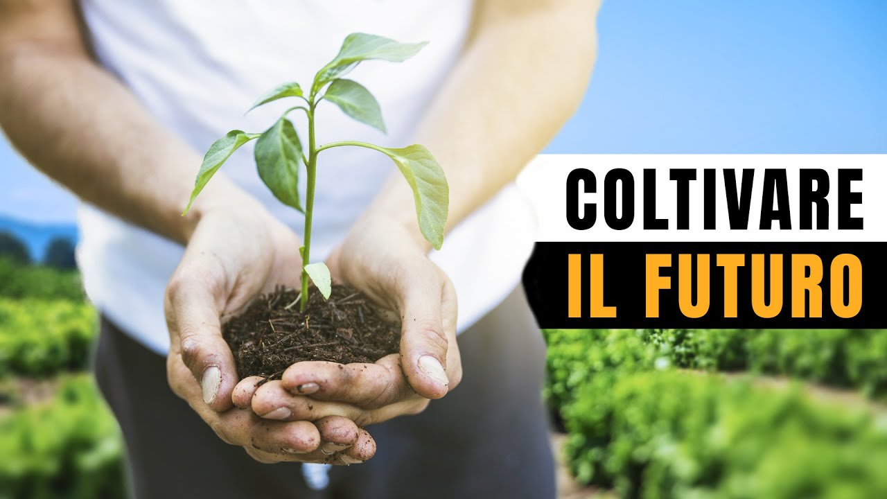 Come si Coltiva il Futuro? - Cobragor Episodio 1