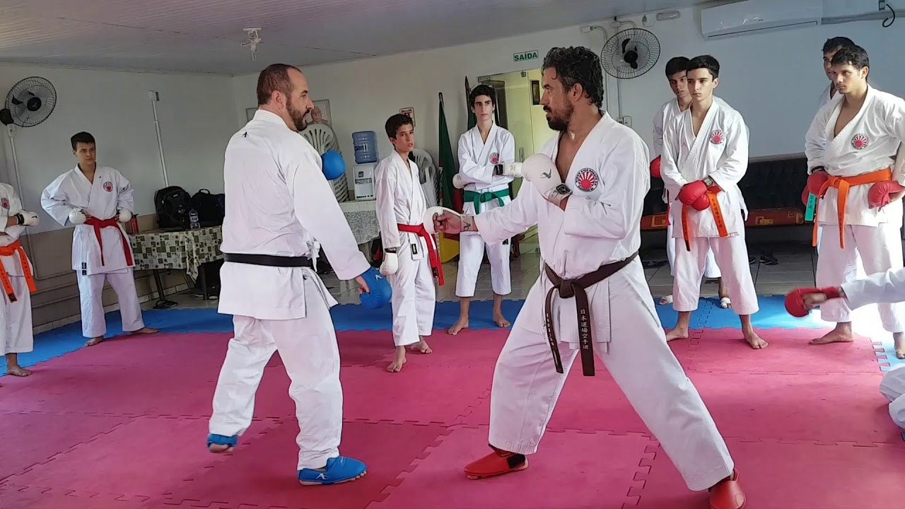 Dicas de Kizami Zuki no Karate | Andre Maraschin | Curso Kumite