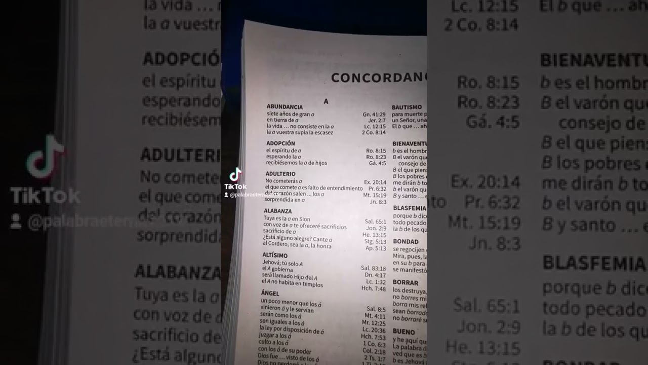 Una breve explicaci&oacute;n de la Concordancia b&iacute;blica.