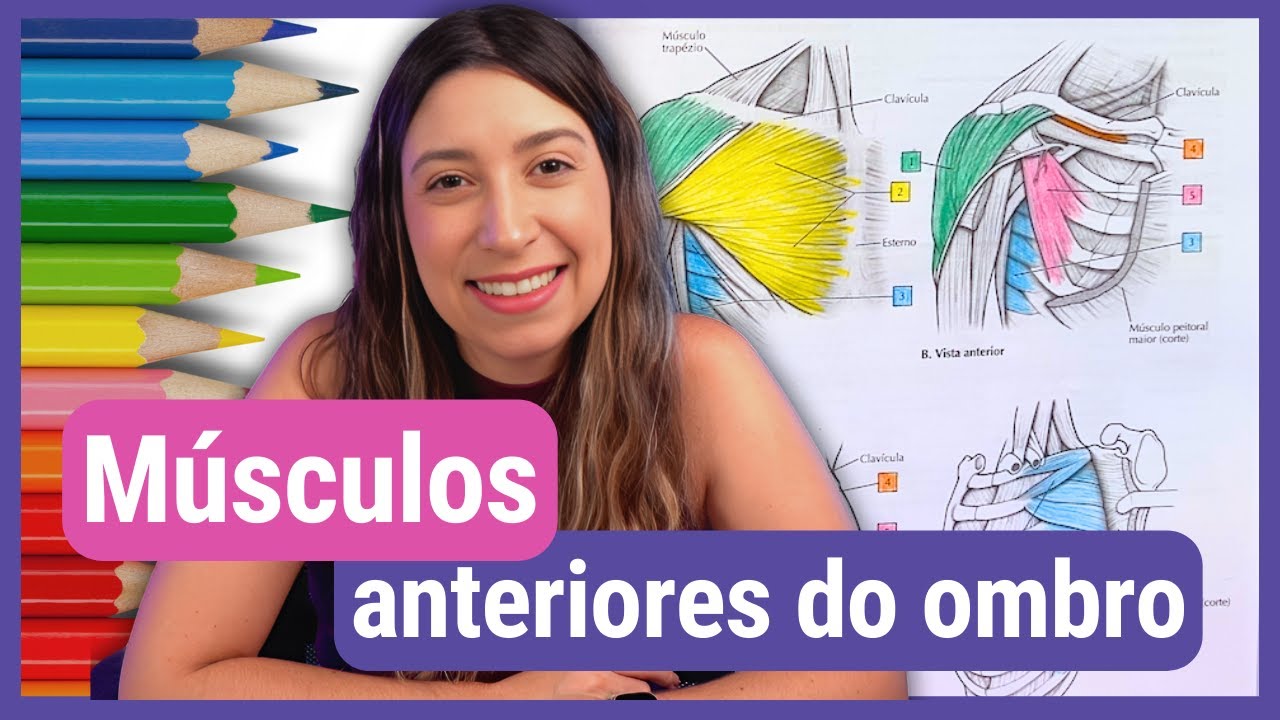 MÚSCULOS anteriores do OMBRO: Anatomia para colorir!