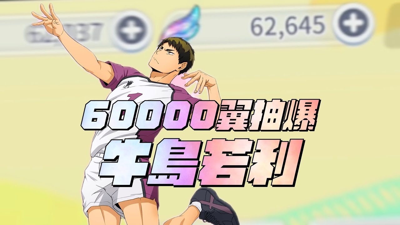 【排球少年 TOUCH THE DREAM】60000翼爆抽牛島若利！家寧會騙你但是真愛不會騙你！超戲劇化的抽角！？內有版本未來視抽取角色池建議！