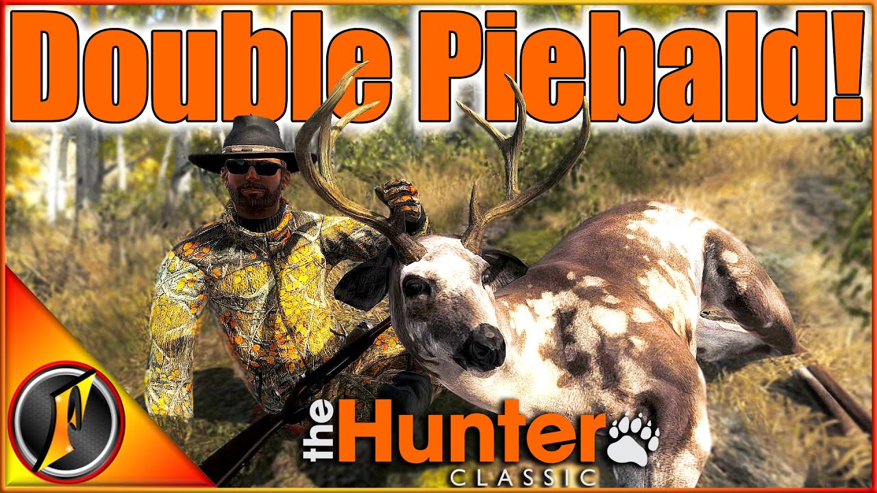 INSANE HUNT on Timbergold Trails! DOUBLE Piebald Mulies in theHunter Classic!