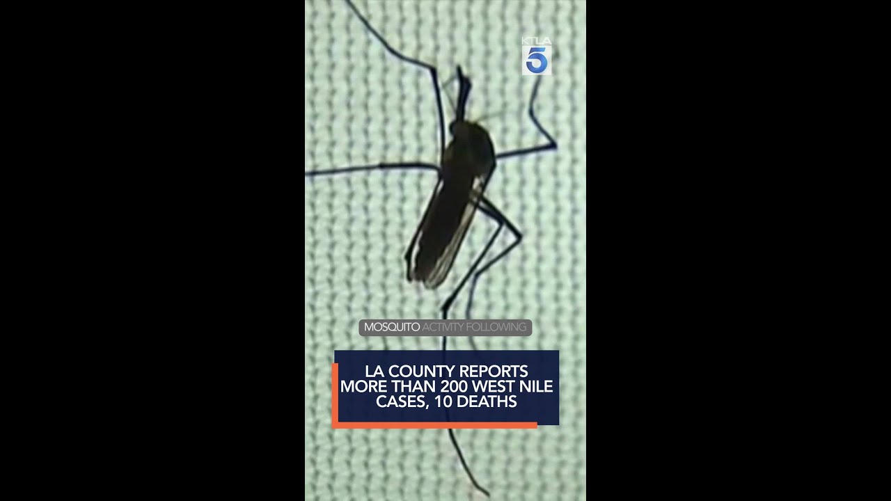 LA County reports more than 200 West Nile cases, 10 deaths