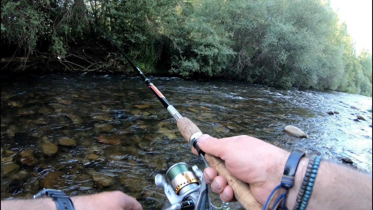Jornada de Pesca Mixta a Cucharilla y leonesa #1 / EDS Ponferrada Tª 2019