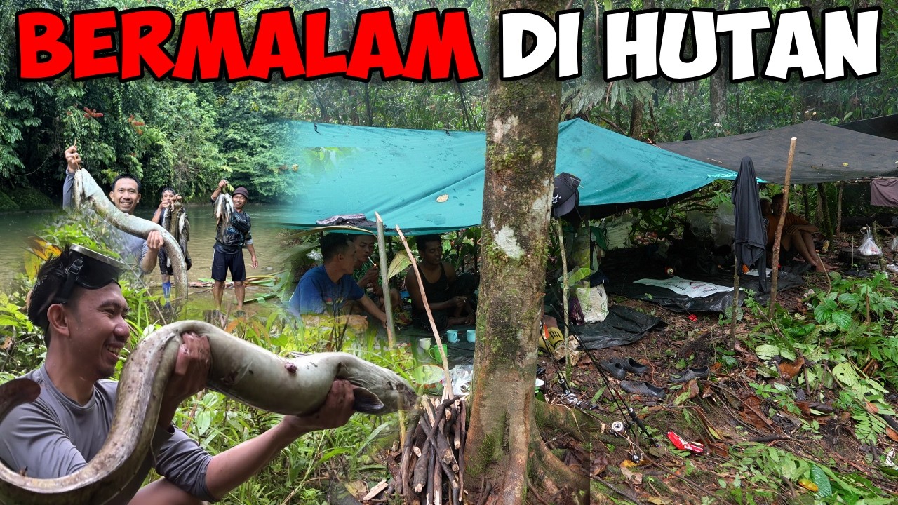 Hujan 2 Malam Di Rimba Fishing Camping Dapat Sidat Tuo