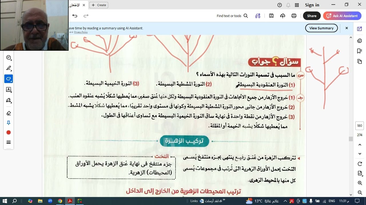 Video 3 15 2026 23 46 31   2 اعدادىالنباتات الزهريه
