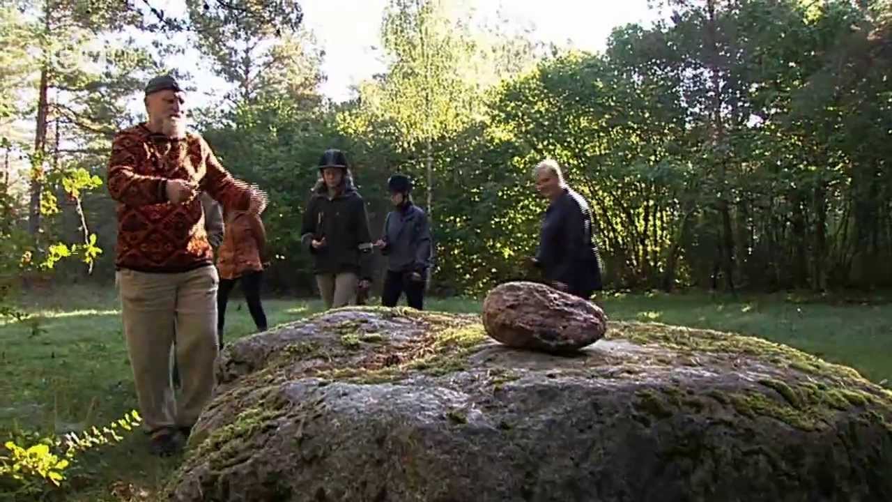 Europe, What's Next? - A Journey to Estonia | In Focus