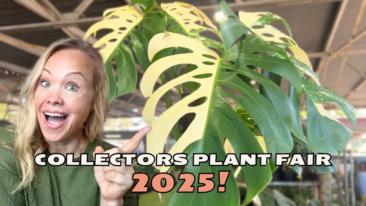 Plant Fair Drama: Rare Finds, Unexpected Turns, and Real Talk