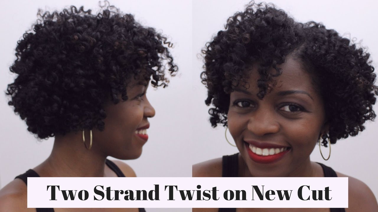 Back to Basics: Two Strand Twist | Natural Hair 3c/4a | MissT1806