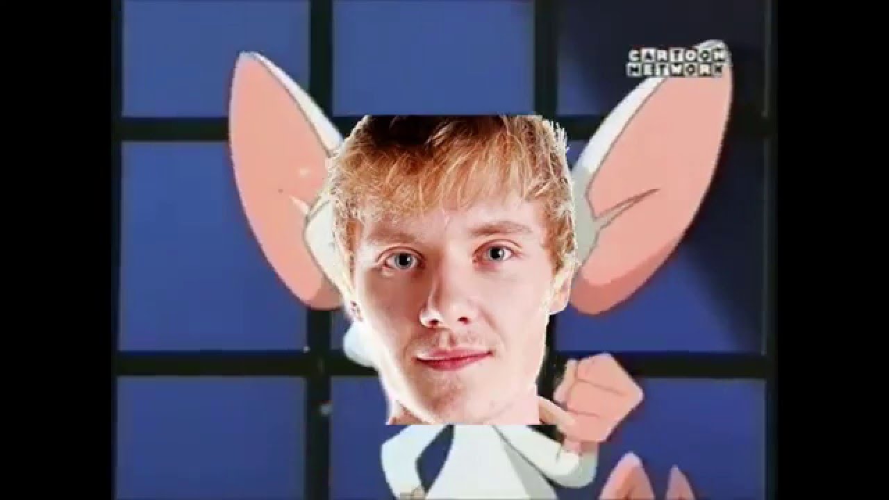 arquel strem sylwestrowy funny moments