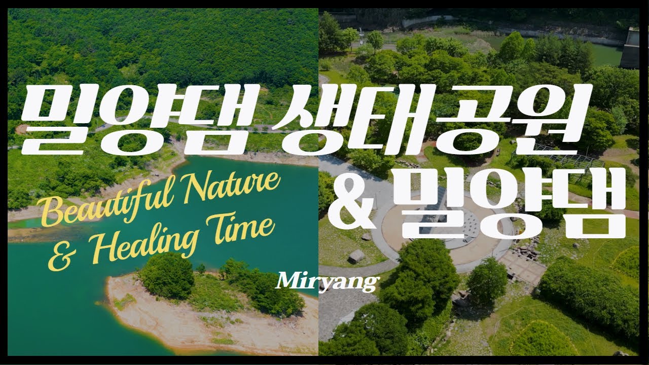 조용히 산책을 즐길 수 있는 힐링의 공간! 밀양댐 생태공원 & 밀양댐